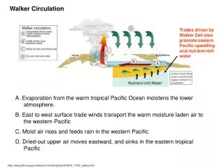 A. Evaporation from the warm tropical Pacific Ocean moistens the lower atmosphere.