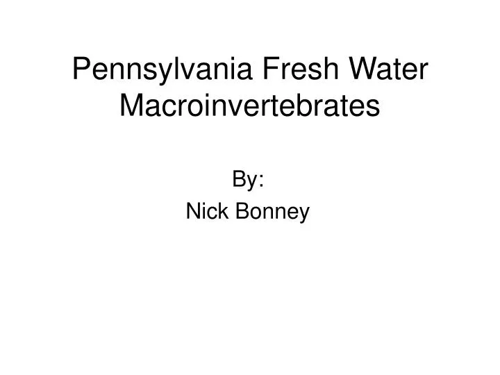 pennsylvania fresh water macroinvertebrates