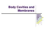 Body Cavities and Membranes - slide 1