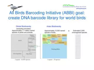 All Birds Barcoding Initiative (ABBI) goal: create DNA barcode library for world birds