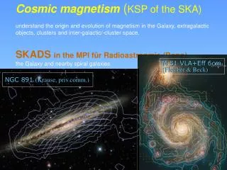 Cosmic magnetism ( KSP of the SKA)