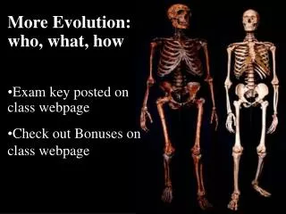 More Evolution: who, what, how Exam key posted on class webpage Check out Bonuses on class webpage