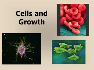 Cells and Growth