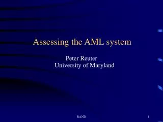 Assessing the AML system