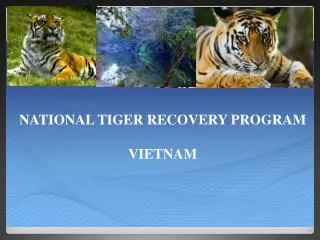 NATIONAL TIGER RECOVERY PROGRAM VIETNAM