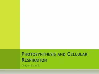 photosynthesis and cellular respiration