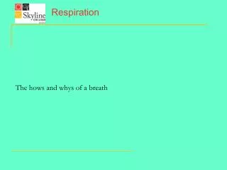 Respiration