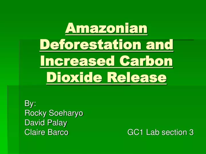 amazonian deforestation and increased carbon dioxide release
