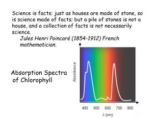 Absorption Spectra of Chlorophyll