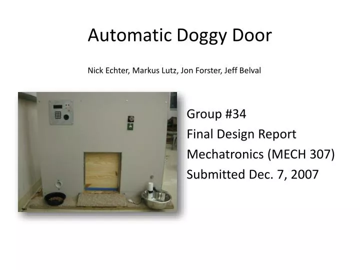 automatic doggy door