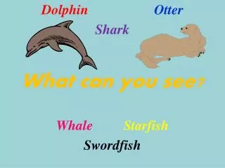 Dolphin 			Otter Shark What can you see? Whale Starfish Swordfish