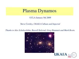 Plasma Dynamos