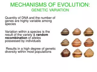 MECHANISMS OF EVOLUTION: GENETIC VARIATION