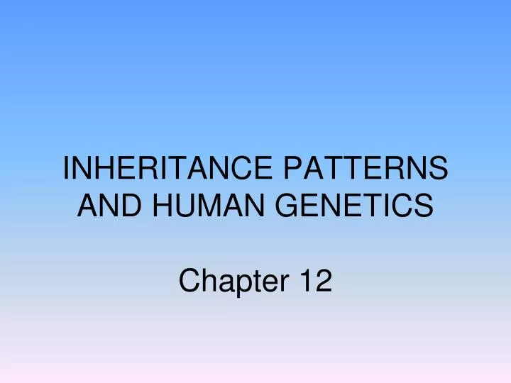 inheritance patterns and human genetics chapter 12