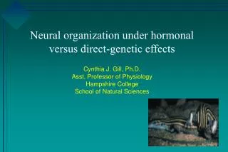 Neural organization under hormonal versus direct-genetic effects Cynthia J. Gill, Ph.D. Asst. Professor of Physiology Ha