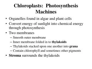 Chloroplasts: Photosynthesis Machines