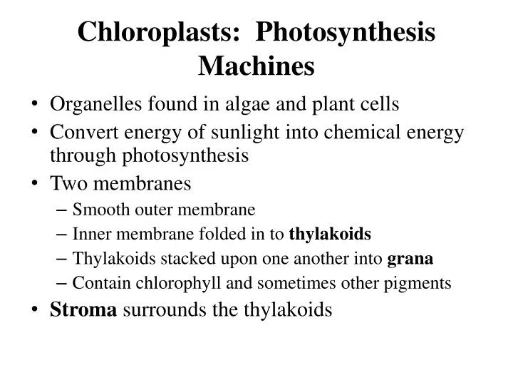 chloroplasts photosynthesis machines