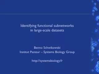 Identifying functional subnetworks in large-scale datasets