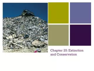 Chapter 25: Extinction and Conservation