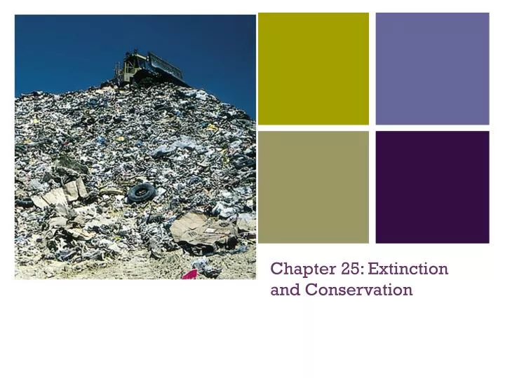 chapter 25 extinction and conservation