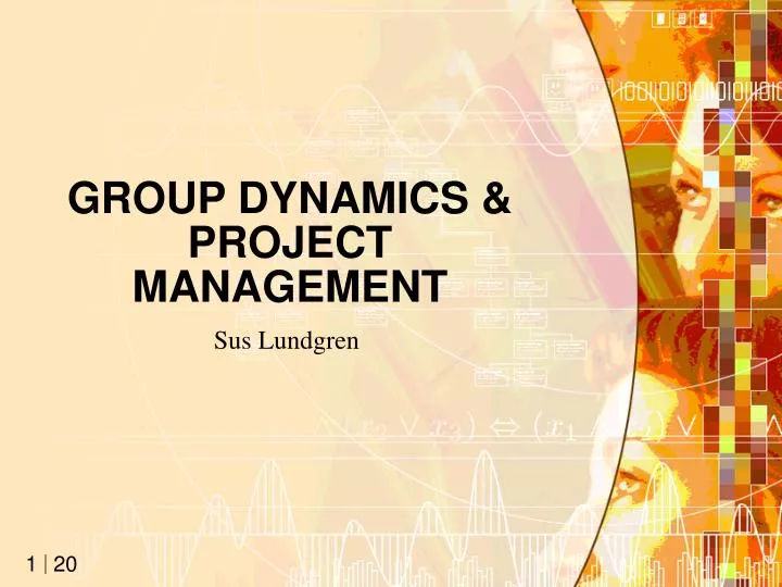 group dynamics project management
