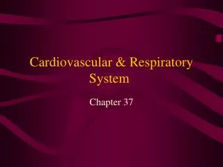 Cardiovascular &amp; Respiratory System