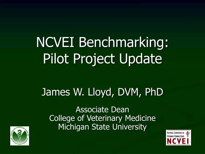 ncvei benchmarking pilot project update