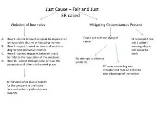 Just Cause – Fair and Just 	ER cased