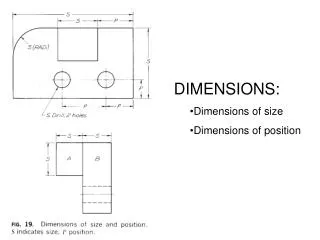 DIMENSIONS: Dimensions of size Dimensions of position