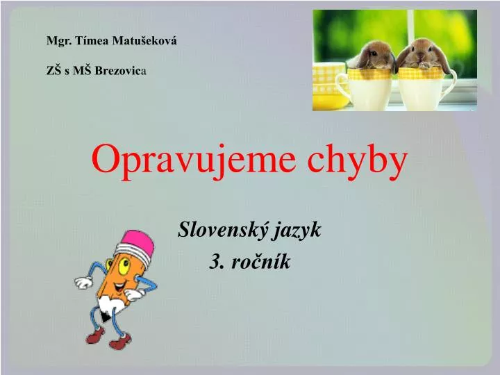 opravujeme chyby