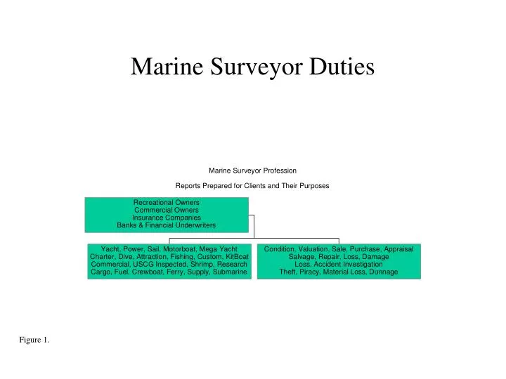 marine surveyor duties