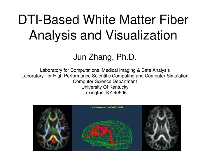 dti based white matter fiber analysis and visualization