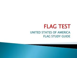 FLAG TEST