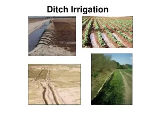 Ditch Irrigation