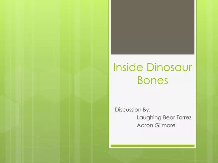 inside dinosaur bones