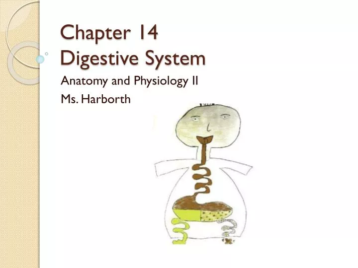 chapter 14 digestive system