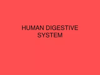 HUMAN DIGESTIVE SYSTEM