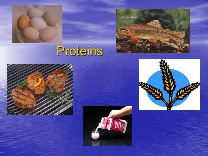 proteins
