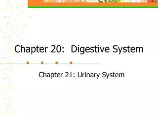 Chapter 20: Digestive System