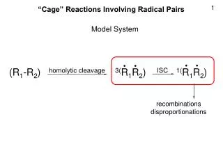 (R 1 -R 2 ) homolytic cleavage 3( R 1 R 2 ) ISC 1( R 1 R 2 )