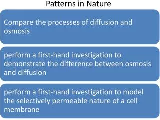 Patterns in Nature