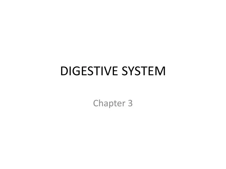 digestive system