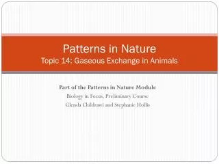 patterns in nature topic 14 gaseous exchange in animals