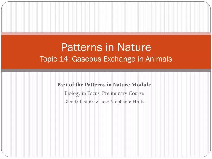 patterns in nature topic 14 gaseous exchange in animals