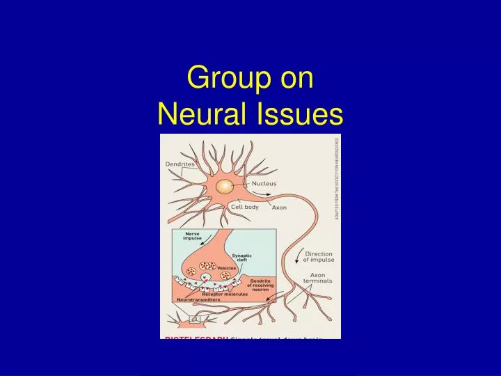 group on neural issues