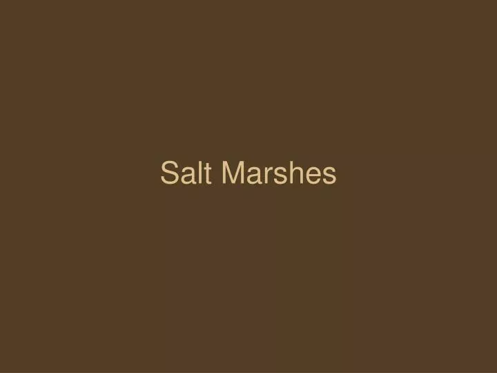 salt marshes