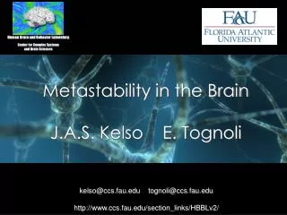 Metastability in the Brain J.A.S. Kelso E. Tognoli