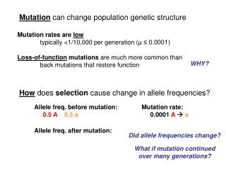 Mutation can change population genetic structure