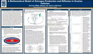 A Mathematical Model of Estrogen Production and Diffusion in Ovarian Follicles