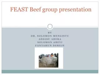 FEAST Beef group presentation